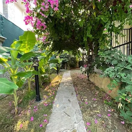 فيلة Private On Center. فتحية